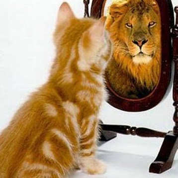 Barbara Renner Photo 23