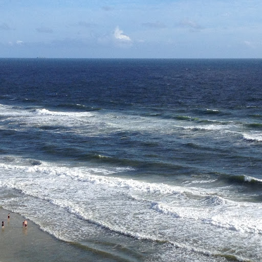 Darlene Spence Photo 15