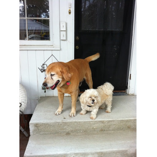 Peggy Richardson Photo 32