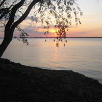 Elizabeth Gorman Photo 31