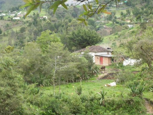 Gloria Pacheco Photo 21