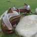 Jeffrey Funk Photo 12