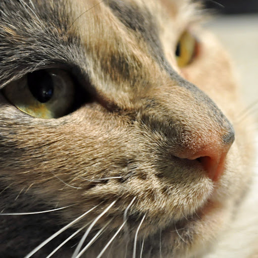 Denise Miles Photo 14