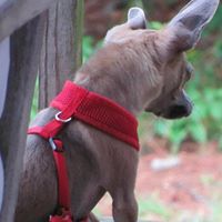 Kathryn Griffin Photo 25