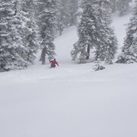 James Ericson Photo 15