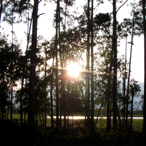 Megan O'Brien Photo 21