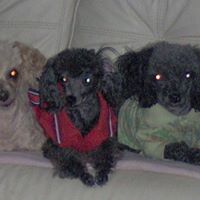 Michelle Woltemath Photo 3