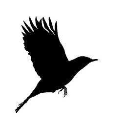 Jennifer Nance Photo 26