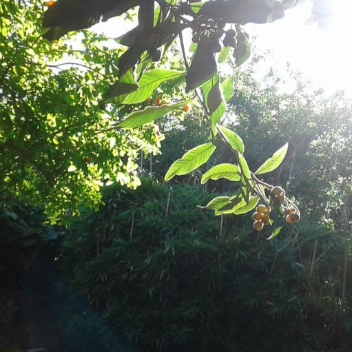 Virginia Lopez Photo 33 Virginia Lopez Photo 33