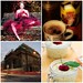 Julianne Rice Photo 17
