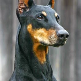 Emilio Diaz Photo 31