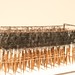 Hui Hsu Photo 22