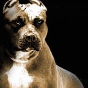 April Cannon Photo 32