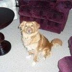 Betty Kerr Photo 26