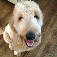 Nancy Klein Photo 27 Nancy Klein Photo 27