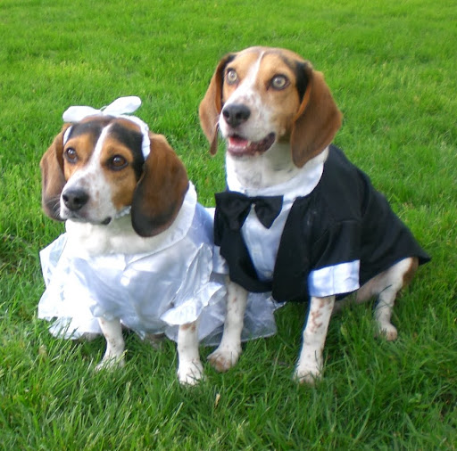 Cindy Booth Photo 19