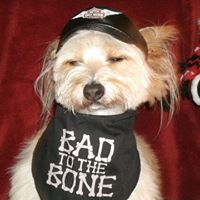 Janet Huston Photo 21