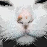 Deborah Macneil Photo 5