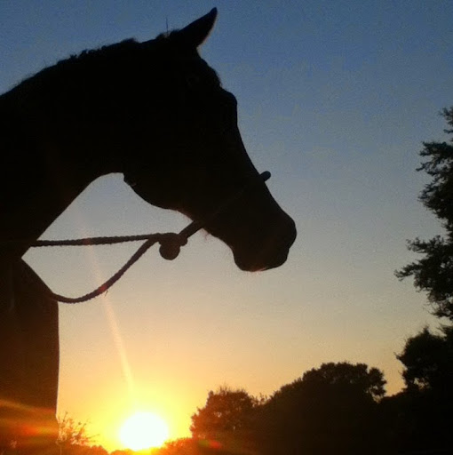 Margaret Ray Photo 25