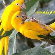 Tracy Barrera Photo 2