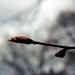 April Rains Photo 30