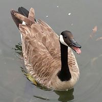 Kevin Zheng Photo 14