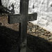 Joseph Francisco Photo 11