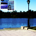 Carol Waters Photo 1