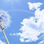 Xiaoping Chen Photo 31