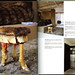 Michele Owen Photo 32