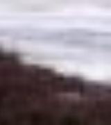 Tara Warnock Photo 1