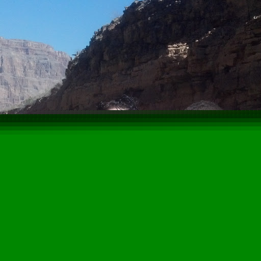 Robin Greenwald Photo 2