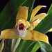 Ann Koehler Photo 8