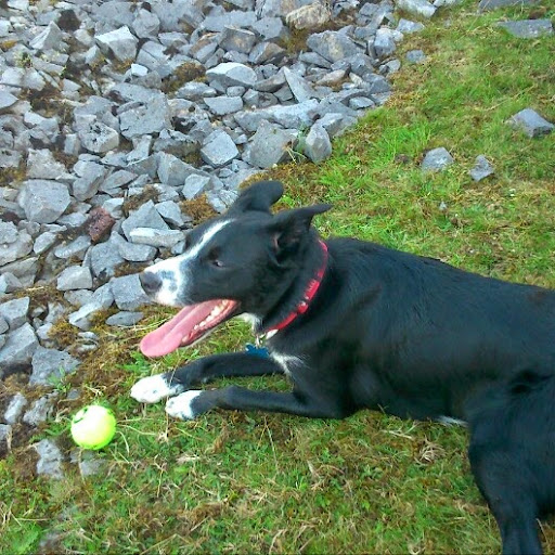 Lorraine Hughes Photo 15