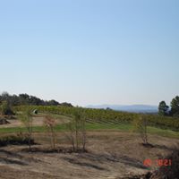 Kathy Kerns Photo 22