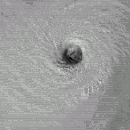 Angela Padgett Photo 13