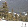Dan Poole Photo 1