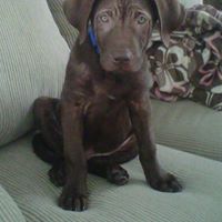 Charlie Puckett Photo 5