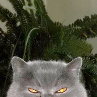 Jill Kerr Photo 22 Jill Kerr Photo 22