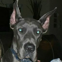 Pedro Zamora Photo 44