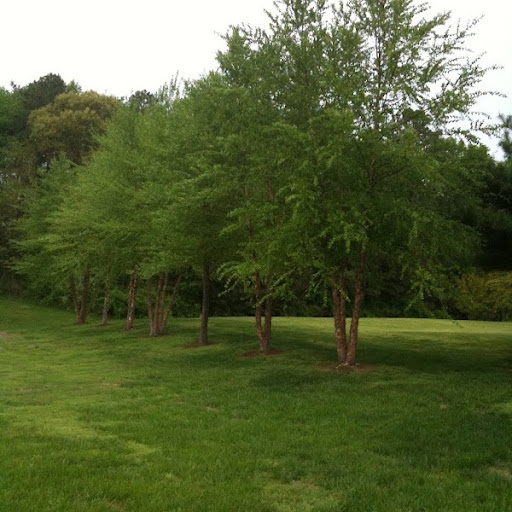 Julia Gorman Photo 35