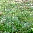 Stephanie Swenson Photo 8