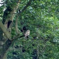 Joann Moran Photo 16