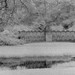 Elizabeth Stowe Photo 23
