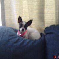 Mary Langston Photo 6