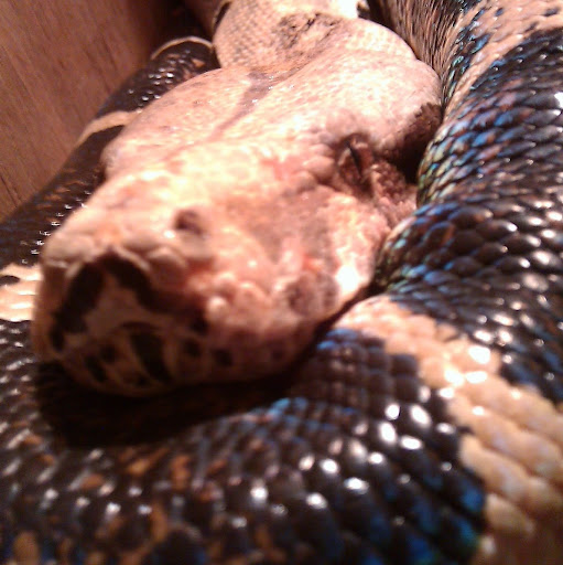 Kristopher Fleming Photo 1