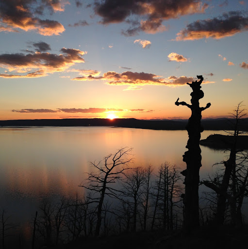 Joel Parks Photo 34