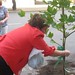 Debra Edmunds Photo 21