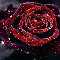 Christina Whitaker Photo 17