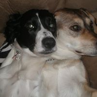 Aaron Webber Photo 8